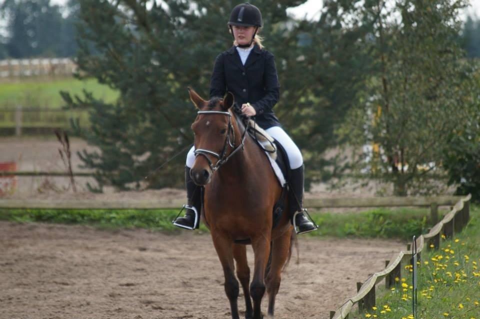 DSP Snorgaardens Monty - efterår 2013 billede 3