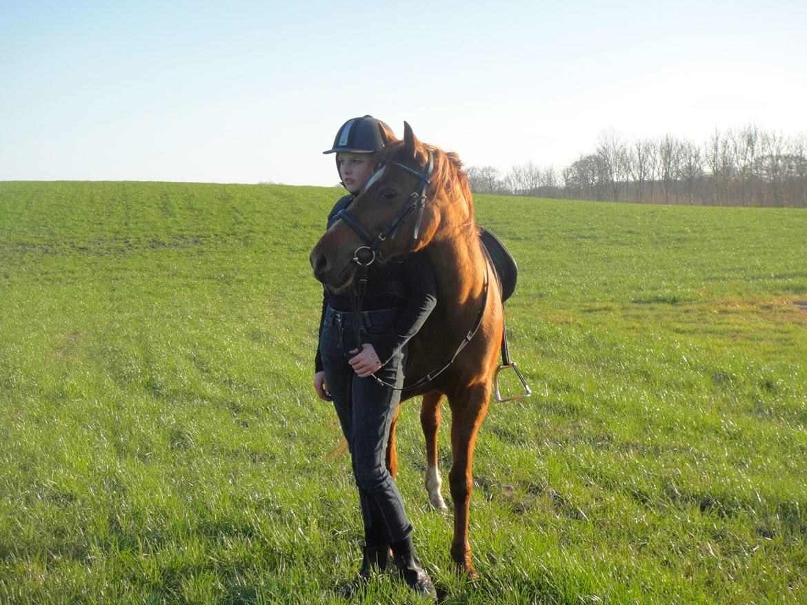 Anden særlig race Nepit billede 11