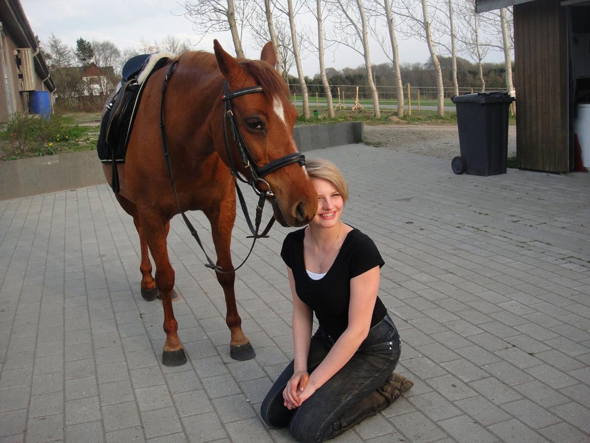 Anden særlig race Nepit billede 13