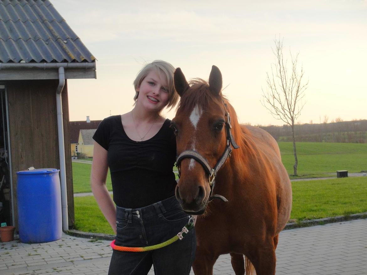 Anden særlig race Nepit billede 14