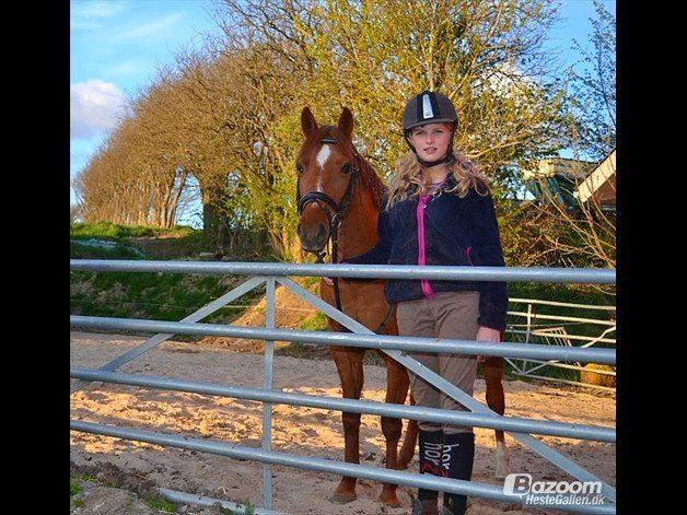 Anden særlig race Nepit billede 2