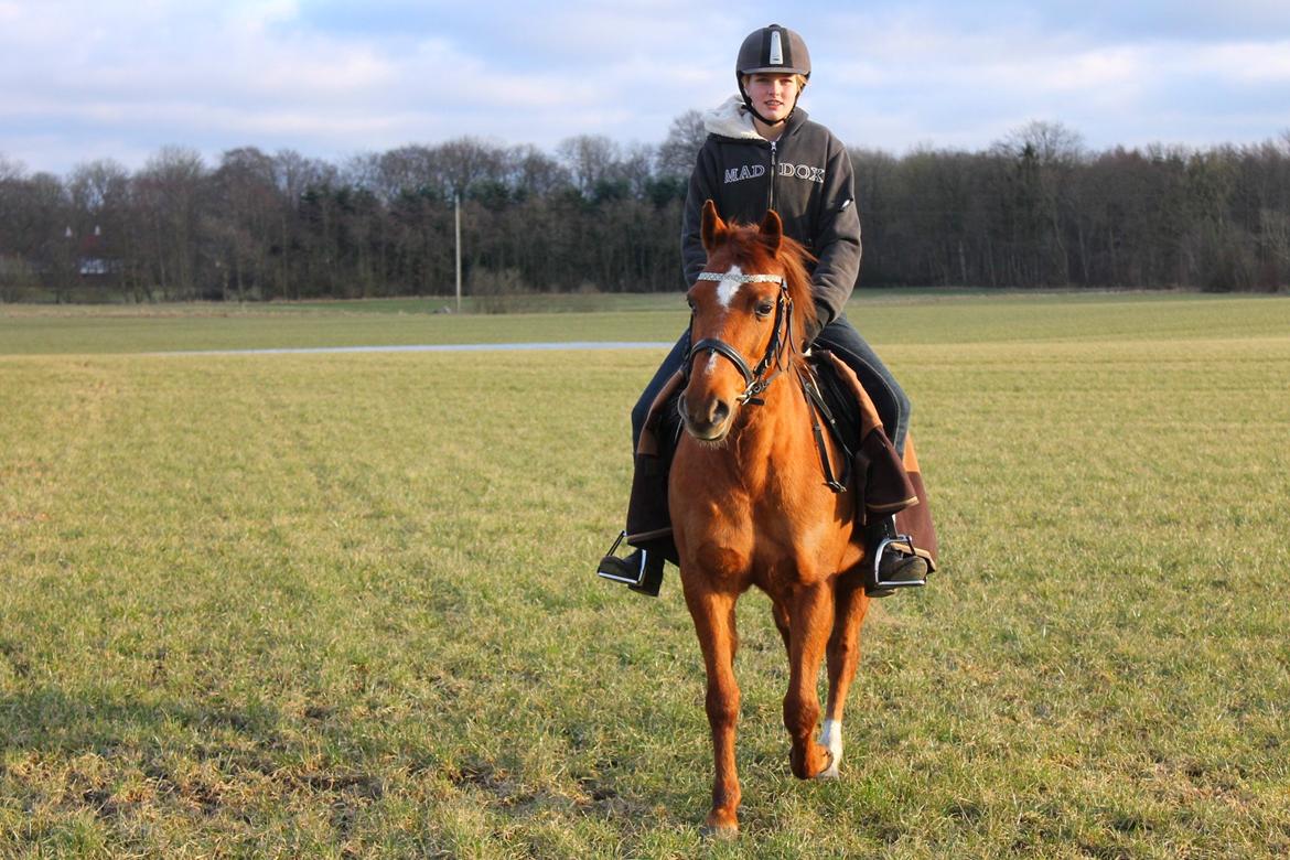Anden særlig race Nepit billede 18