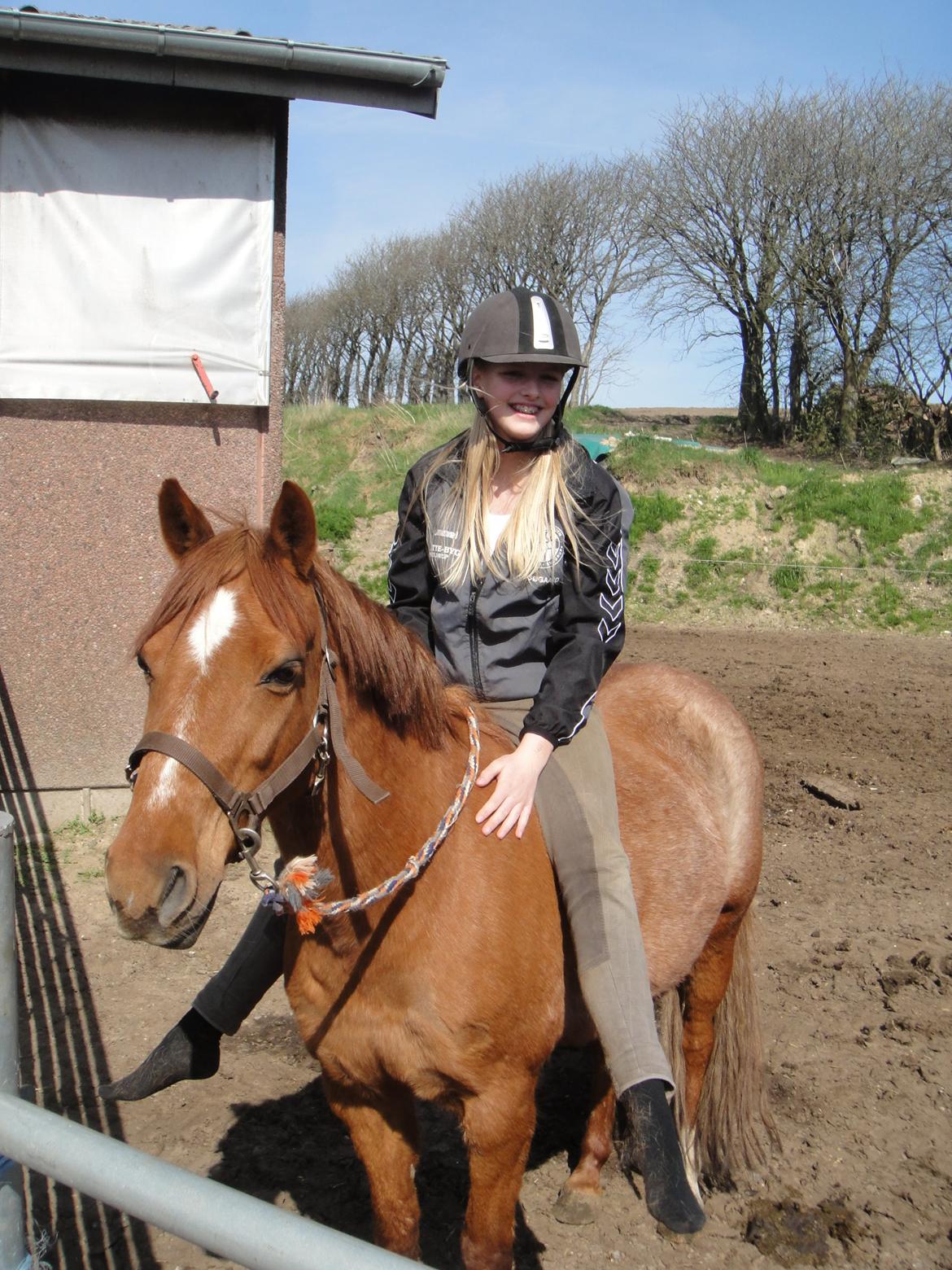 Anden særlig race Nepit billede 25