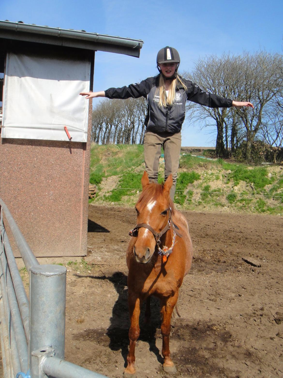 Anden særlig race Nepit billede 8
