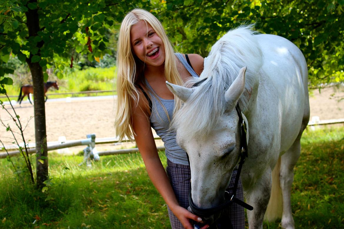 Connemara Maskenkols Calimero - 4) Sommer 2013 billede 4