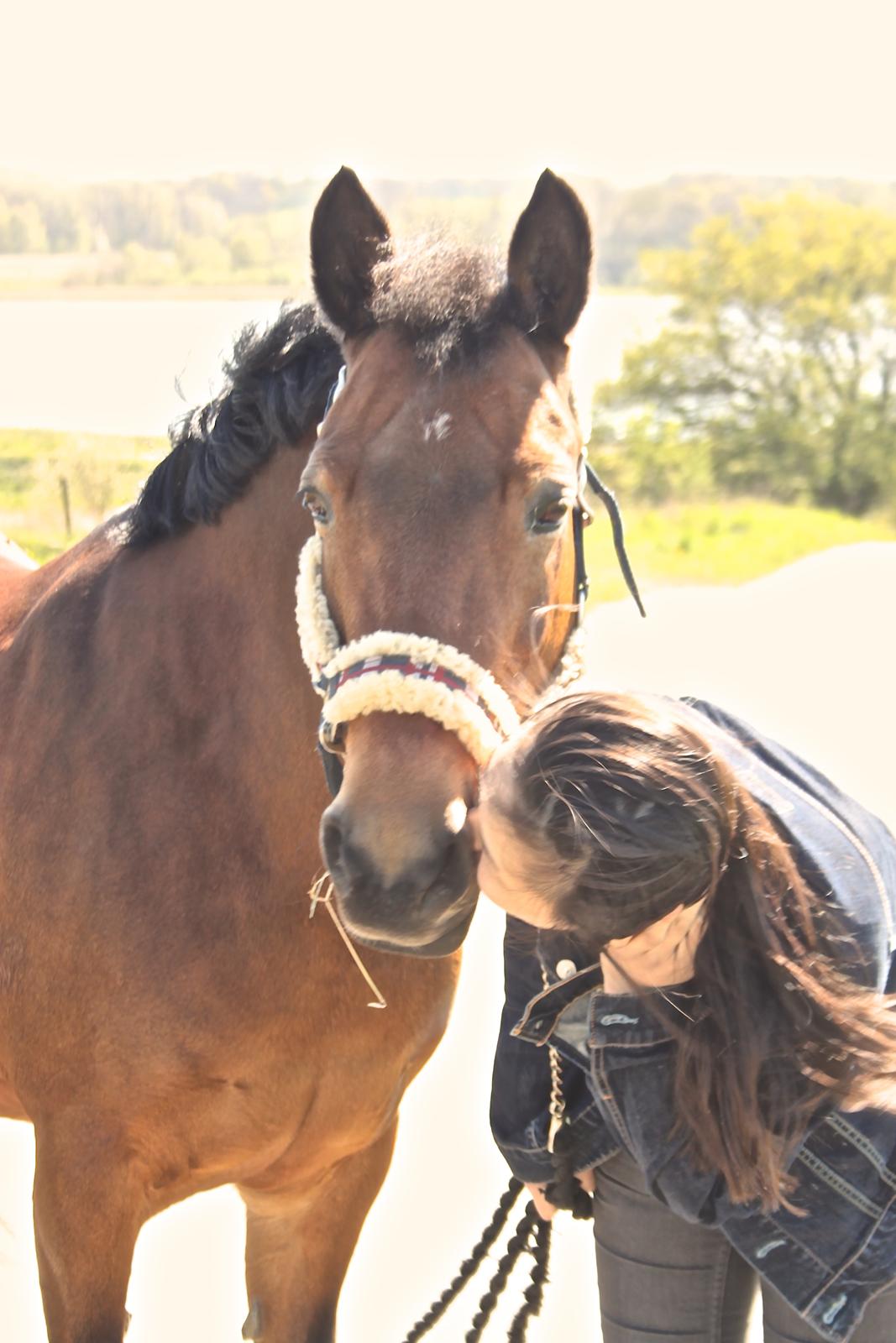 Anden særlig race Minnie billede 14