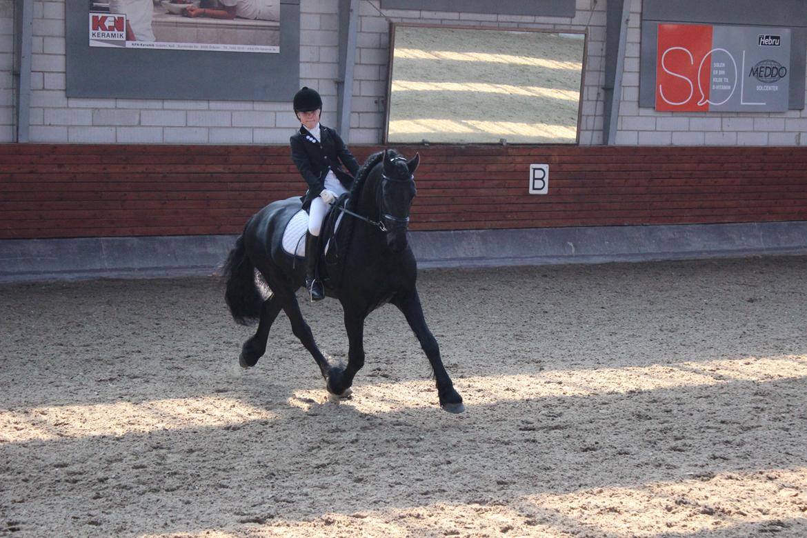 Frieser Zorro - Zorro til stævne i Gråsten, her på banen i LC2 :D Fotograf: Signe Sidenus  billede 10