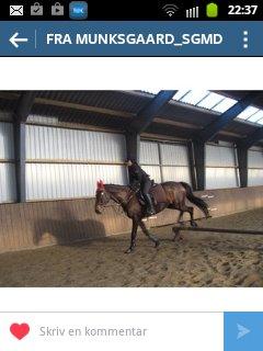 Anden særlig race Bella billede 11