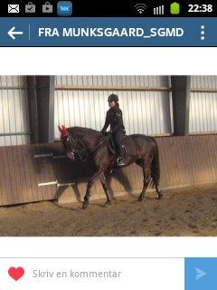 Anden særlig race Bella billede 9