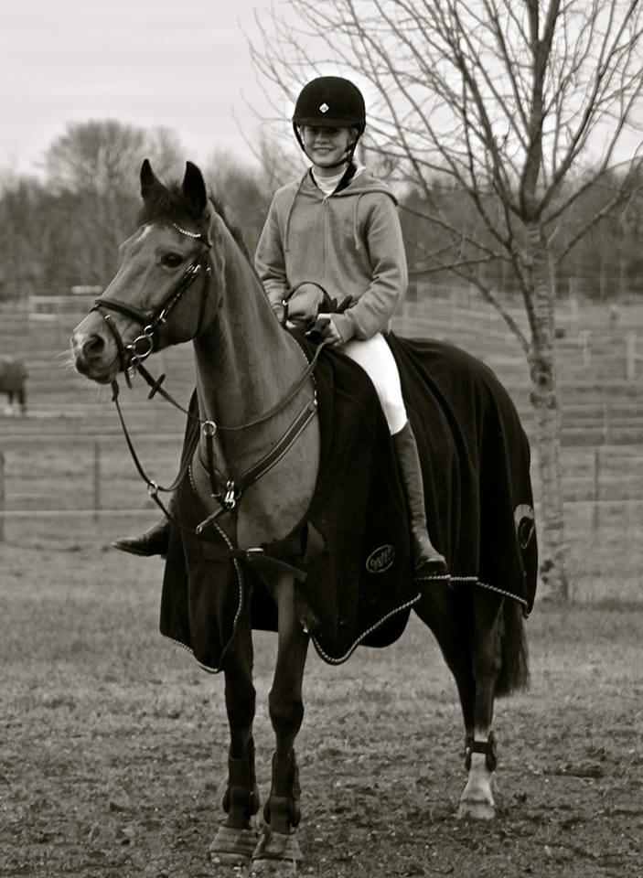 Irsk Sportspony Coillcru Flight billede 6