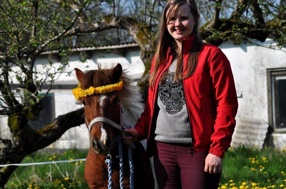 Shetlænder Dalagers Taz billede 1