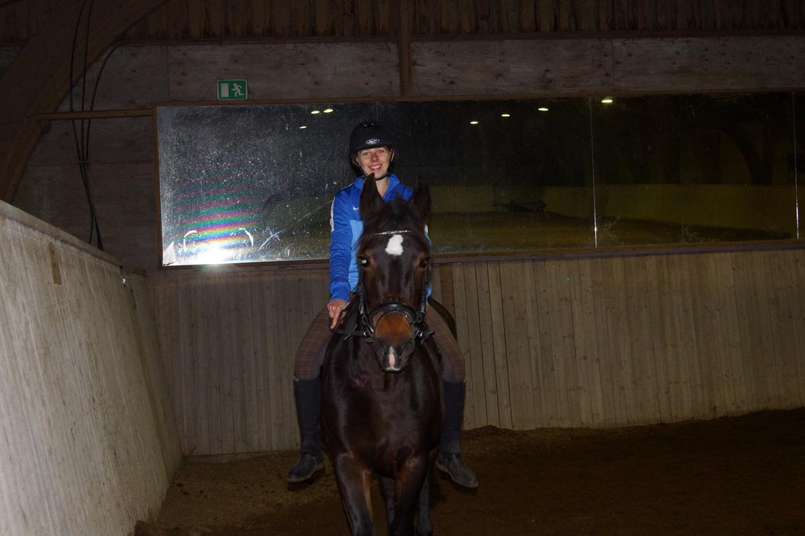 DSP Martilla billede 5