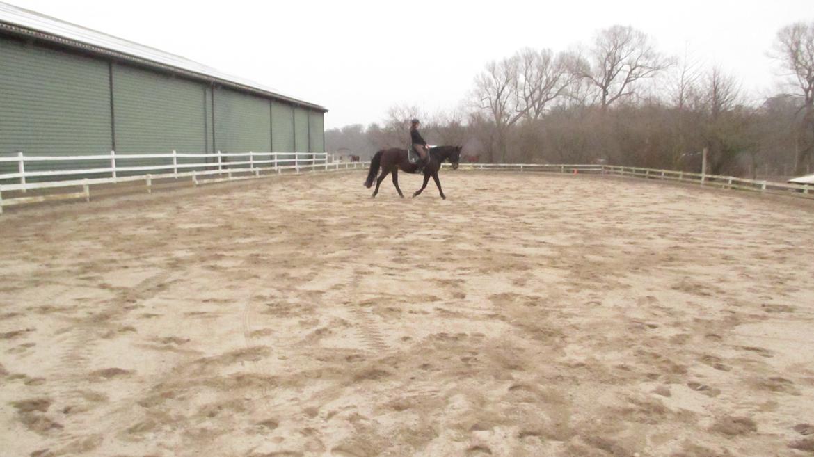 DSP Martilla billede 3