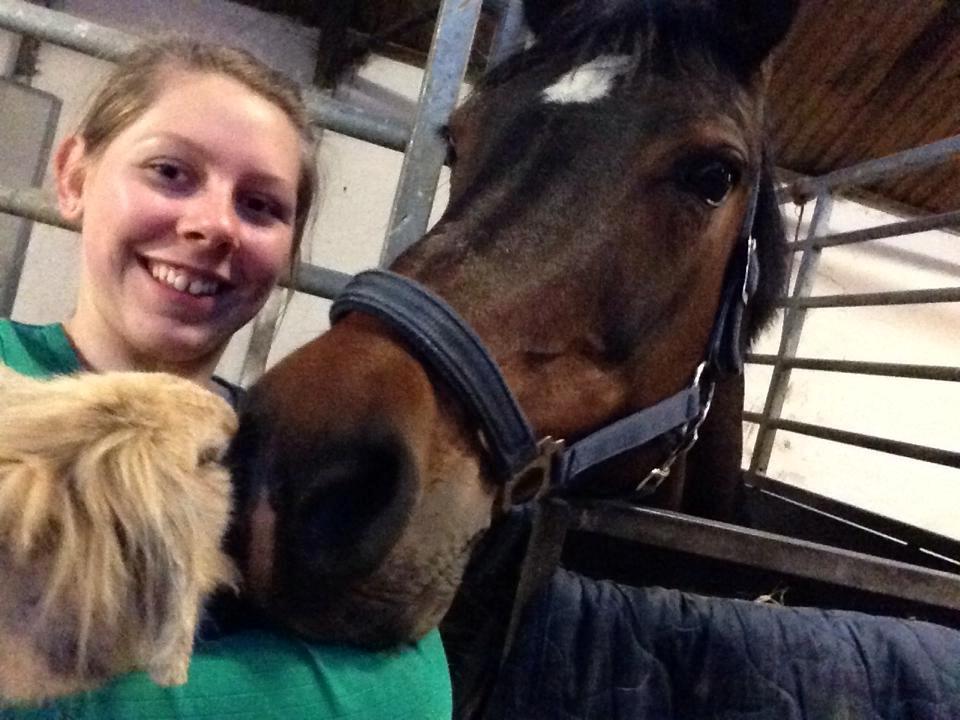 DSP Martilla billede 6