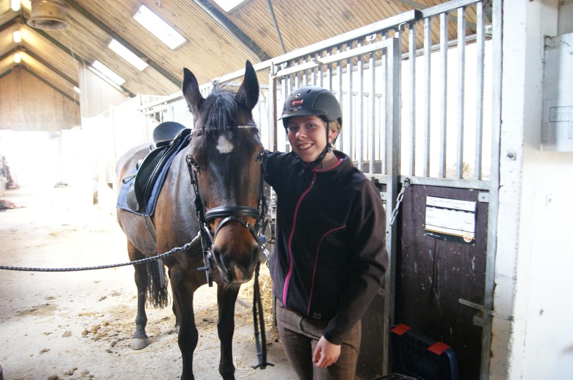 DSP Martilla billede 8