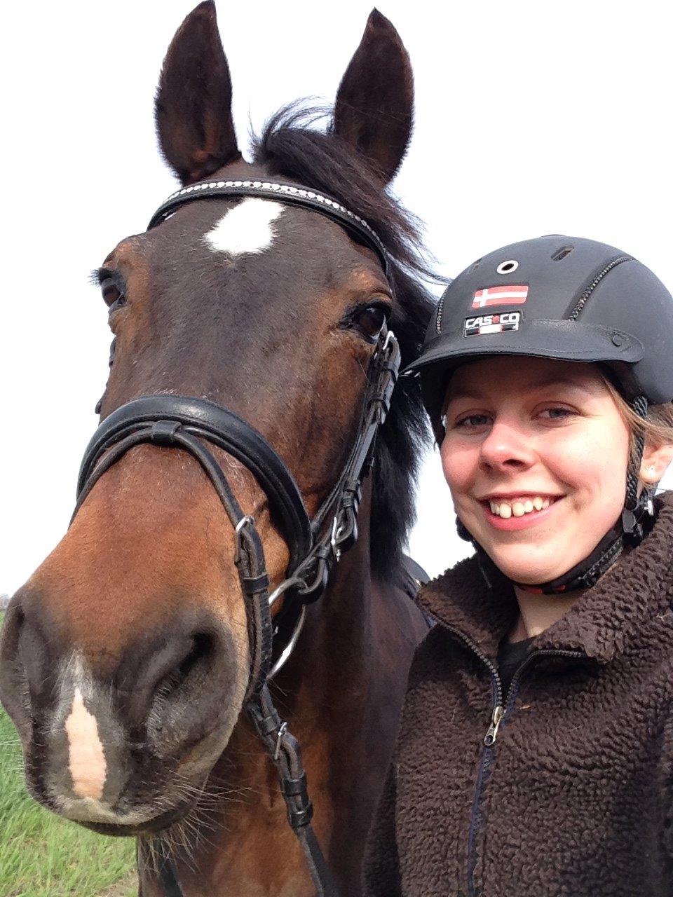 DSP Martilla billede 10