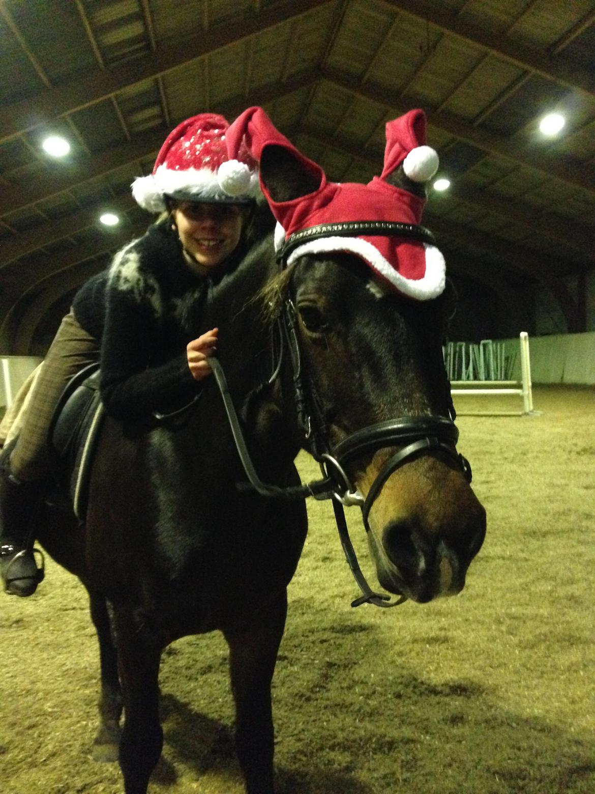 DSP Martilla billede 12