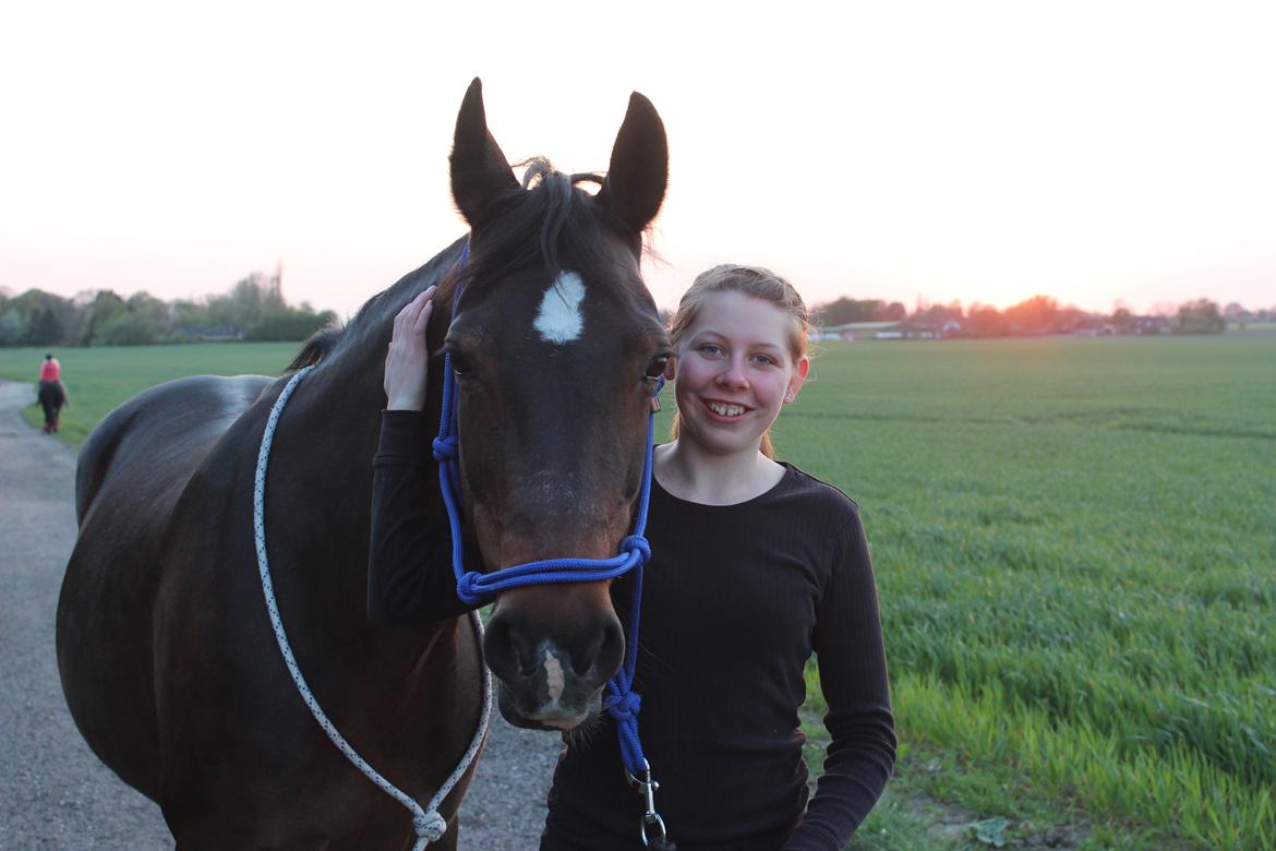 DSP Martilla billede 15