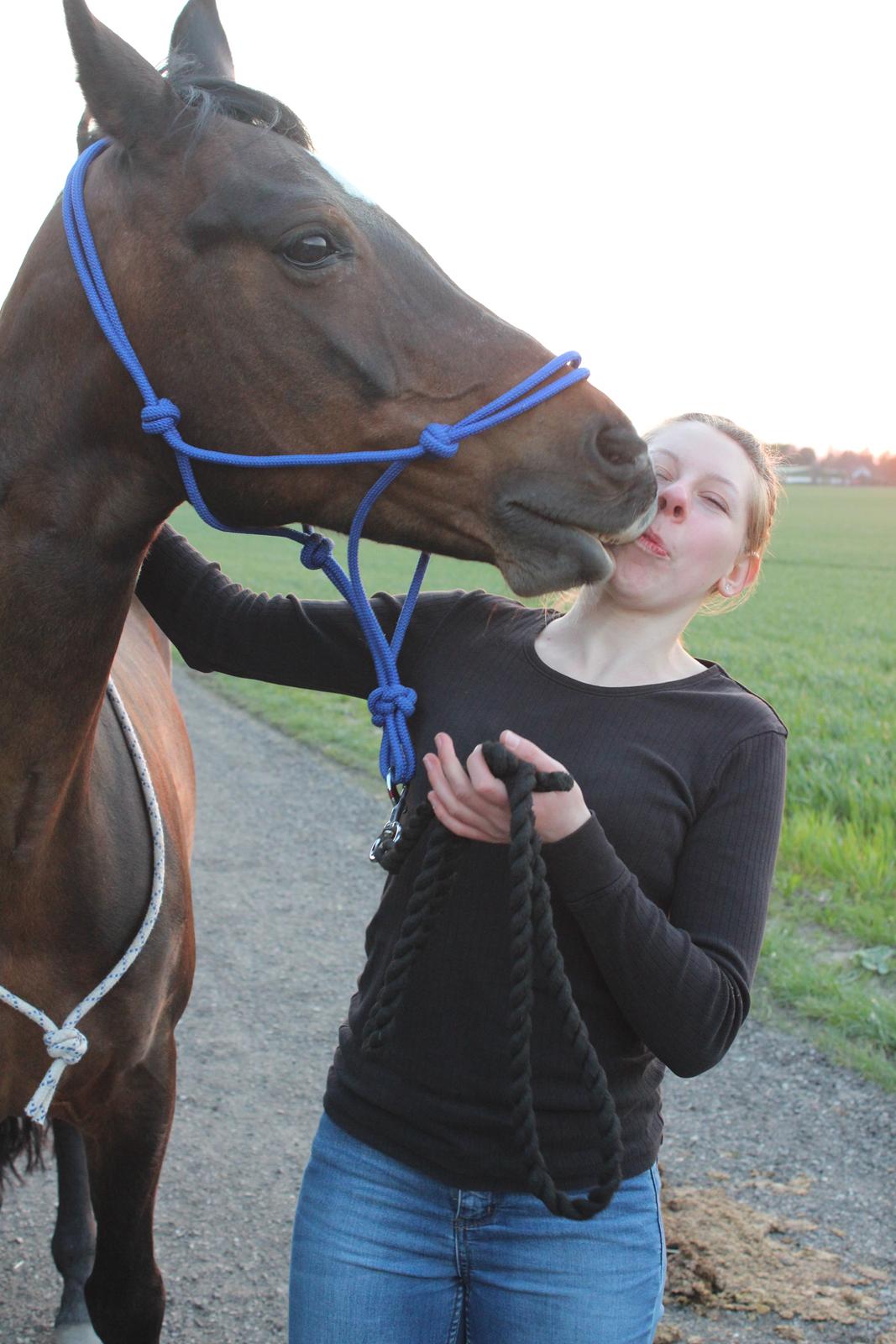 DSP Martilla billede 18