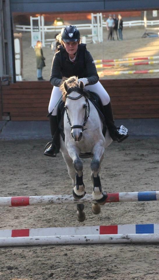 DSP BAKKEGAARDENS TRIPLE PERFECT - Klubmesterskab 2014 billede 6