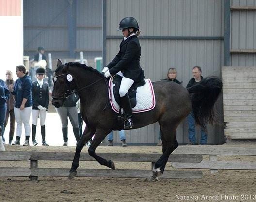 New Forest Søndermarken's Bojana billede 17