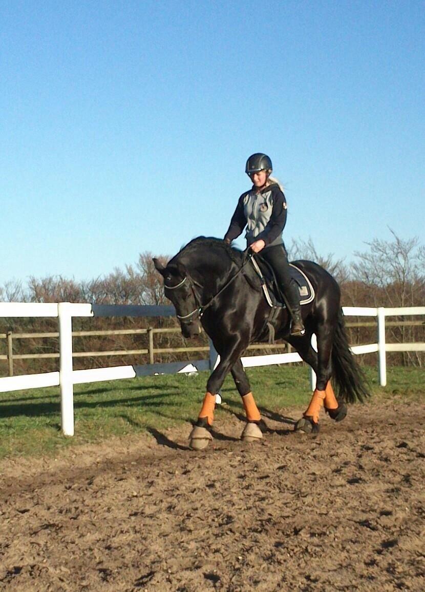 Frieser Douwe fan it Heim billede 8