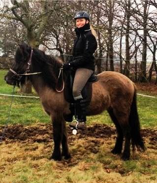 Islænder Perla fra Linå Mark - Første gang på ryggen af min lille prinsesse <3 billede 6