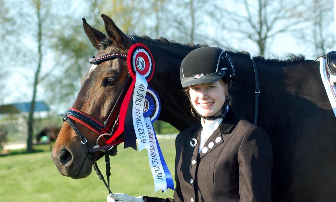 Trakehner Turned Up At Noon - (27/04/14) 1. plads i LA2 med 70% og 2. plads i LA1 med 65,74% billede 2
