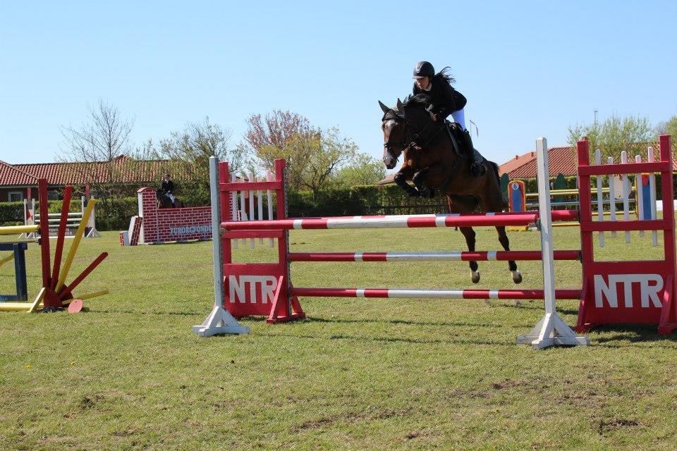 Dansk Varmblod Åen`s April - B - HEST <3. - April og jeg i vores første MB, hvor vi rider fejlfrit og blev placeret som nr. 2! Stjerne hest <3 billede 20