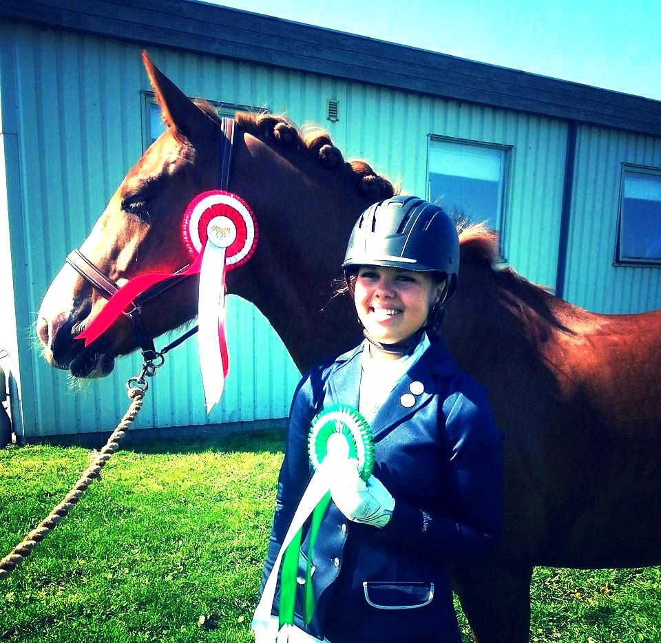 Anden særlig race Milando - Dygtig Milando pony til stævne :D billede 8