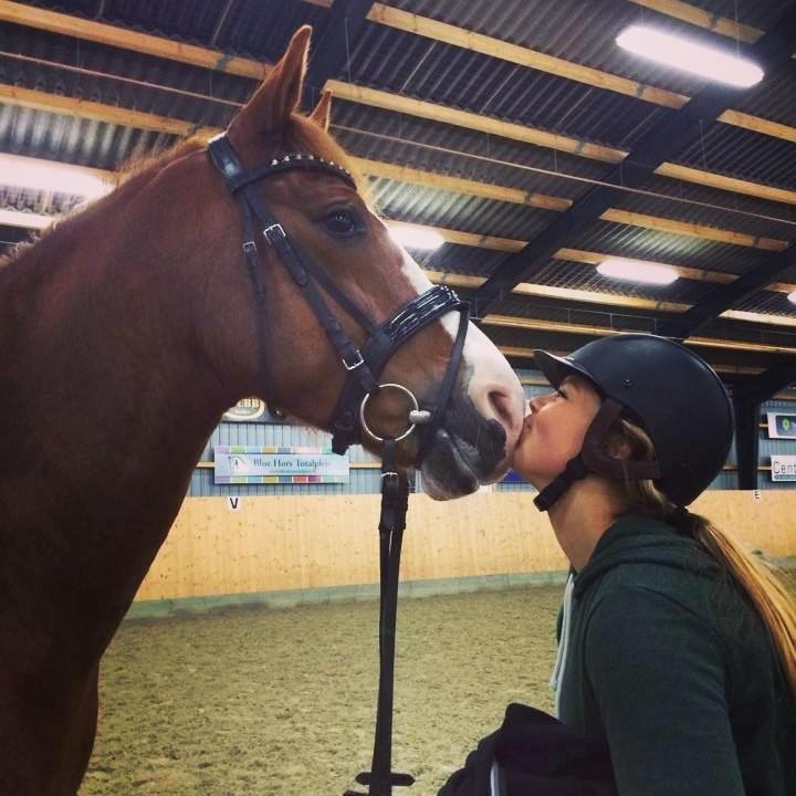 Anden særlig race Milando - Mys til verdens bedste ven på hans fødselsdag! <3 billede 11