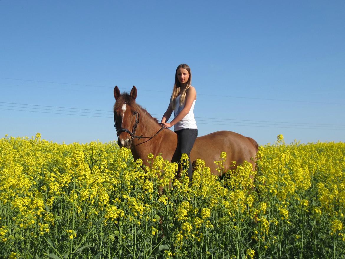 Anden særlig race Ricardo billede 3