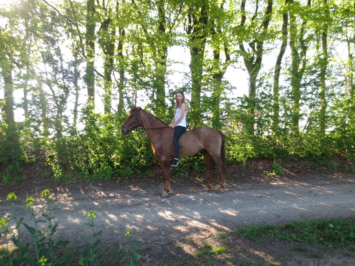 Anden særlig race Ricardo billede 31