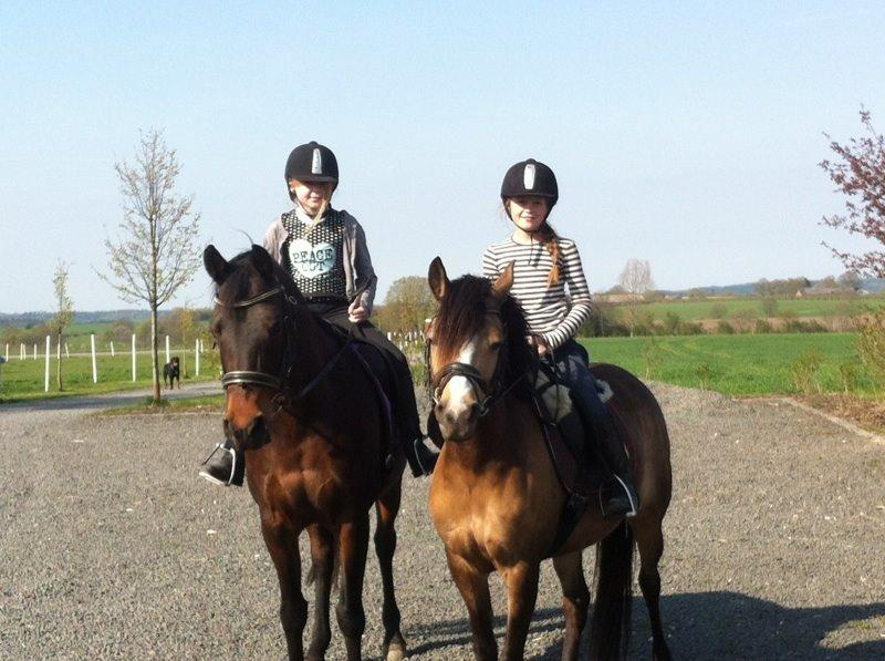 Anden særlig race Damgårds Maggie billede 13