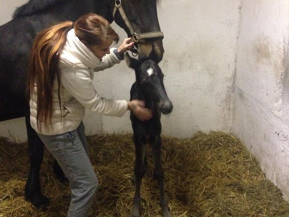 Anden særlig race Sandrina Hit Vad billede 3