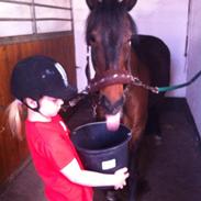 Anden særlig race Tjalfe