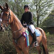 Holstener Ca Reim (Solgt)