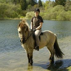 Islænder Lysingur stenslund