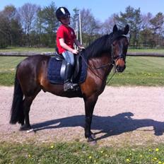 Anden særlig race Tjalfe