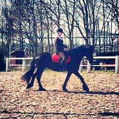 Frieser $Birka$[Tid.Part]