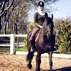 Frieser $Birka$[Tid.Part]