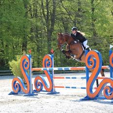 Holstener Quite la bryere