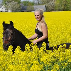 New Forest Kabrit's Acapella (anna)