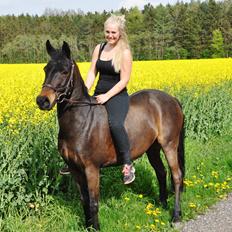 Anden særlig race No no