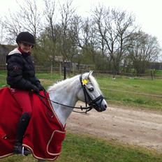 Anden særlig race Frederikke