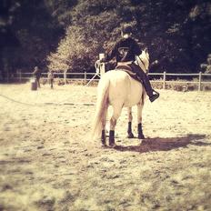 Connemara Søstholm Merlin *Mit liv*