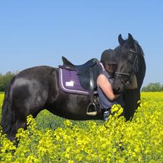 Frieser Trynke Fan Bosmasate