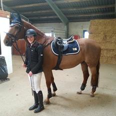 Anden særlig race Platino