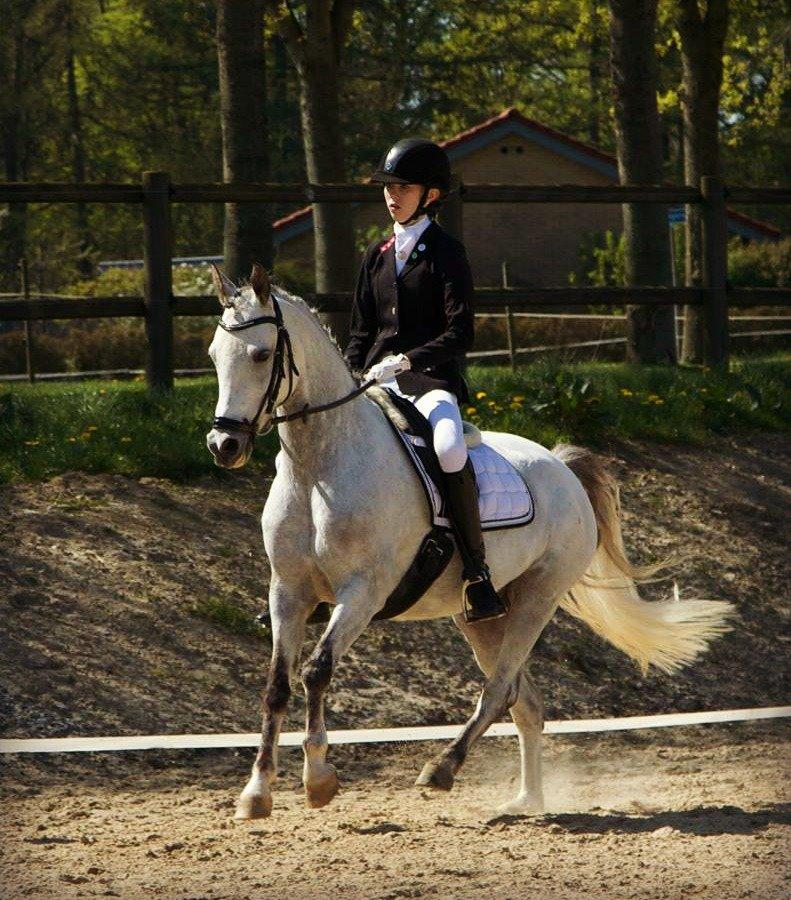 Anden særlig race CHEVAL B-pony - Vores første LA3 billede 14