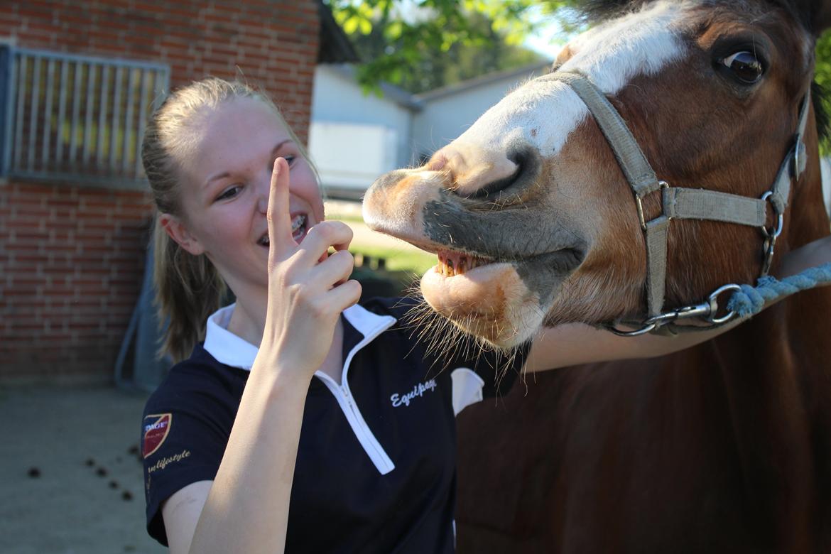 Anden særlig race Fair Play [ELEVPONY] - Smil og vær glad 28.04.14 billede 11